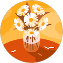 LLCF profile picture