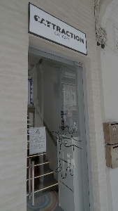 Cattraction Cat Cafe place picture