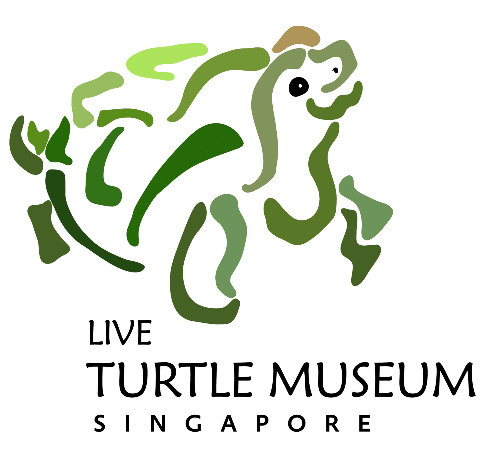 Live Turtle Museum Singapore logo