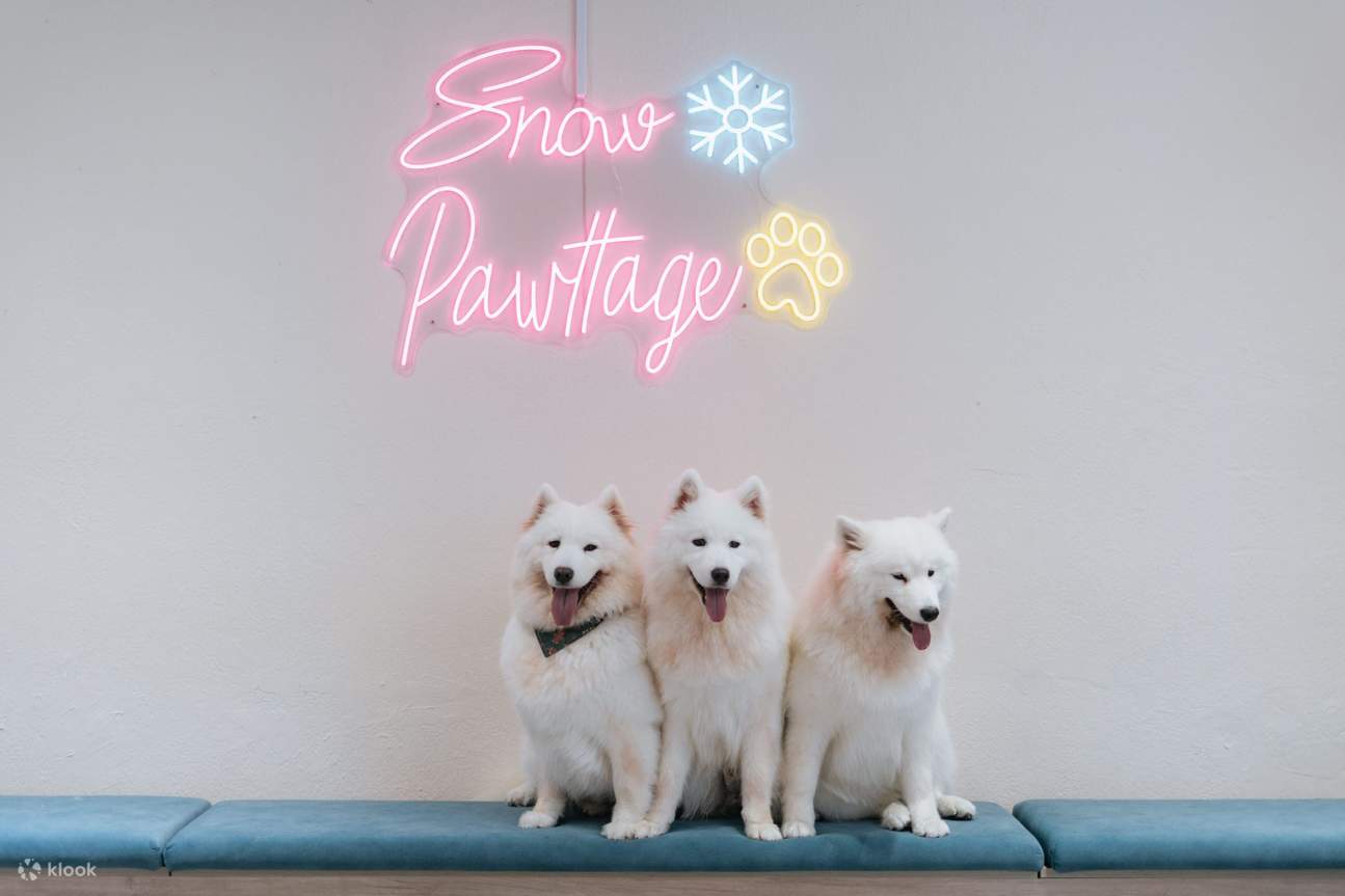 Snow Pawttage logo