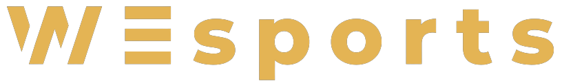 WEsports logo