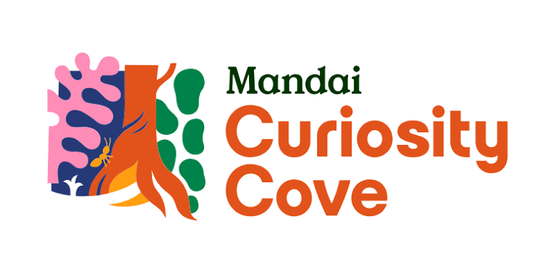 Curiousity Cove logo