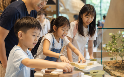 Top 10 Museums to Visit With Kids in Singapore