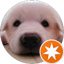 PM profile picture