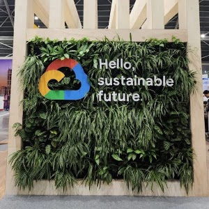 The Green Capsule place picture
