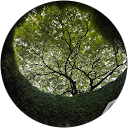 Aradhana Biju profile picture