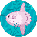 e profile picture