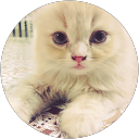 Sharifah Omar profile picture