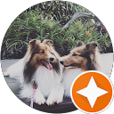The Sheltie Squad profile picture