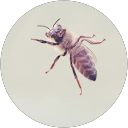 Spice profile picture