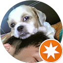 Ken Lee profile picture