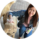 Serene Toh profile picture