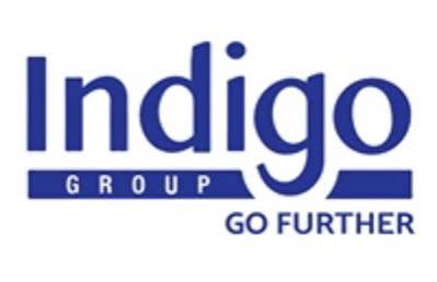 Indigo Education Group Logo