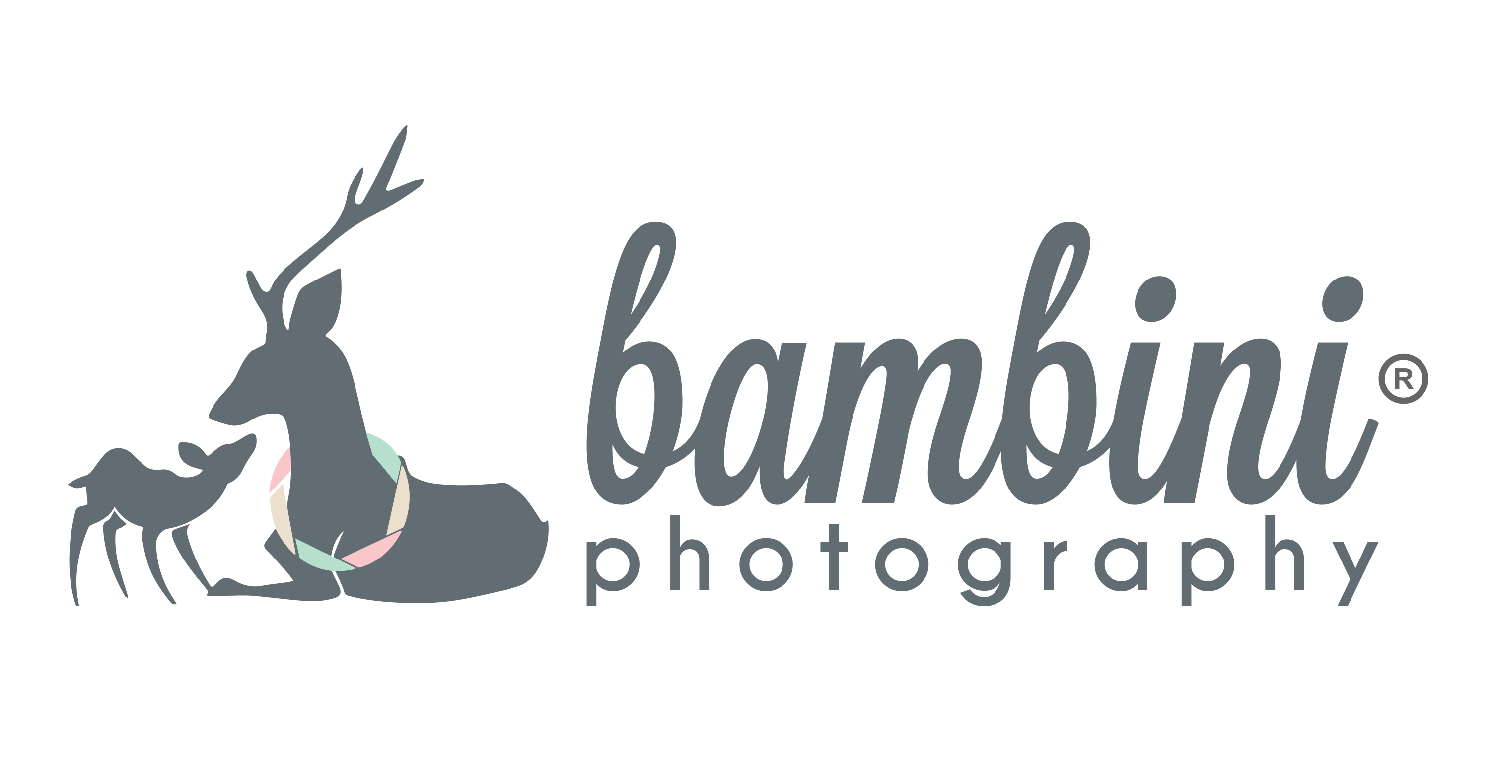 Bambini Photography logo